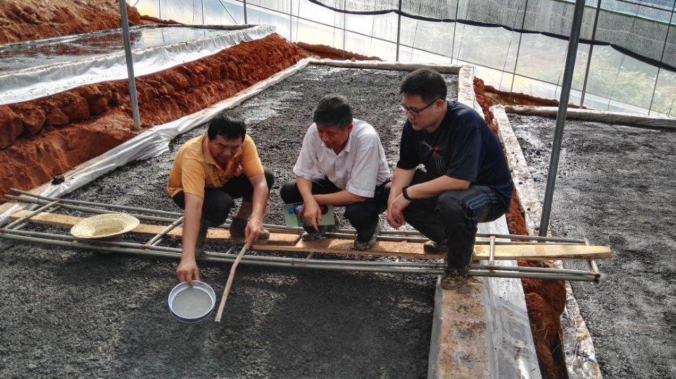 1.王喆之教授指导农户.jpg 1.王喆之教授指导农户.jpg