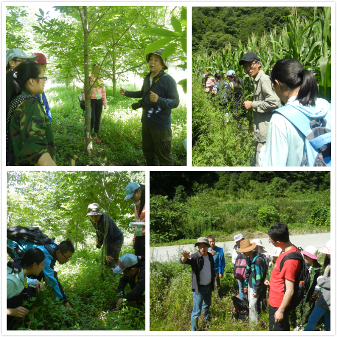 4-实习掠影——生态学.jpg